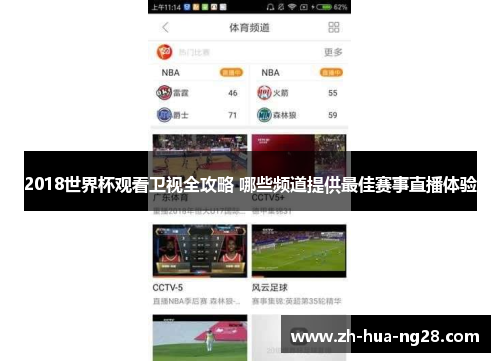 2018世界杯观看卫视全攻略 哪些频道提供最佳赛事直播体验