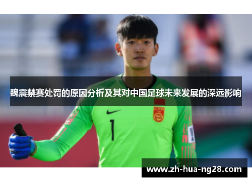 魏震禁赛处罚的原因分析及其对中国足球未来发展的深远影响