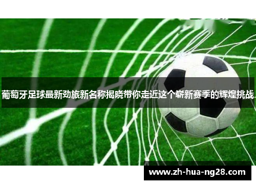 葡萄牙足球最新劲旅新名称揭晓带你走近这个崭新赛季的辉煌挑战