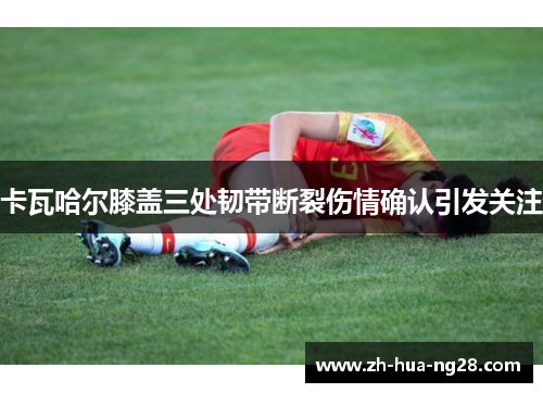 卡瓦哈尔膝盖三处韧带断裂伤情确认引发关注
